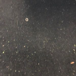 Meet your Posher, George